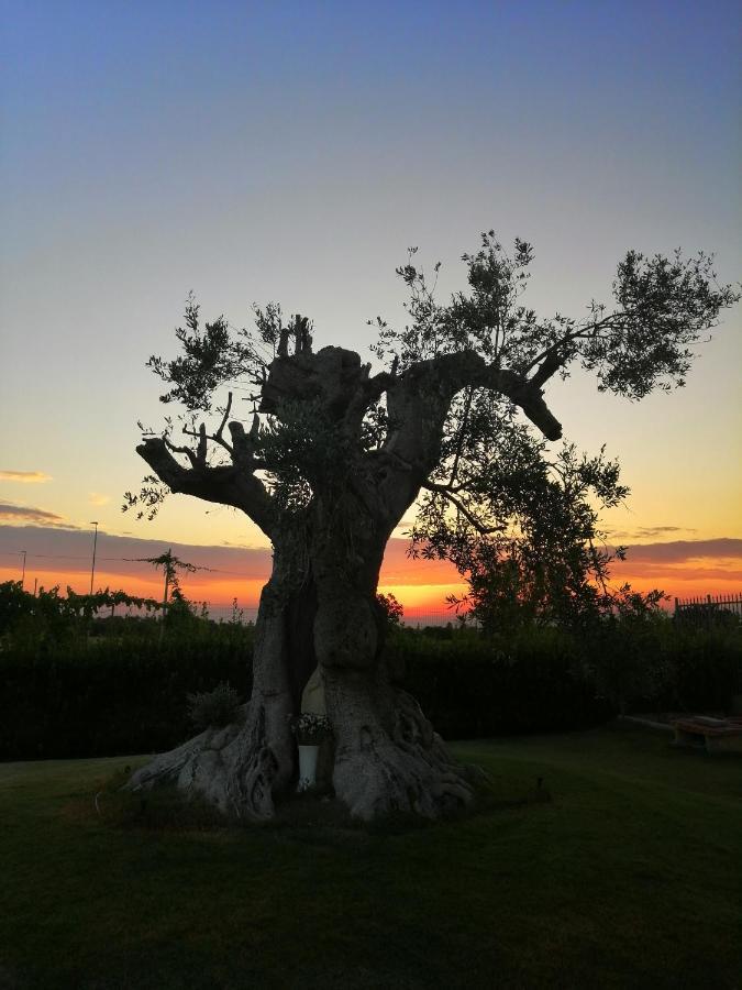 B&B Mareen Santa Maria al Bagno Exterior photo