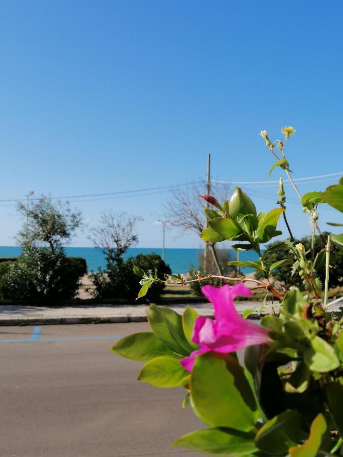 B&B Mareen Santa Maria al Bagno Exterior photo